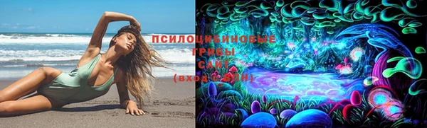 ALPHA PVP Козельск