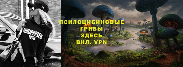ALPHA PVP Козельск