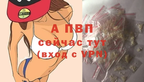 спайс Кодинск