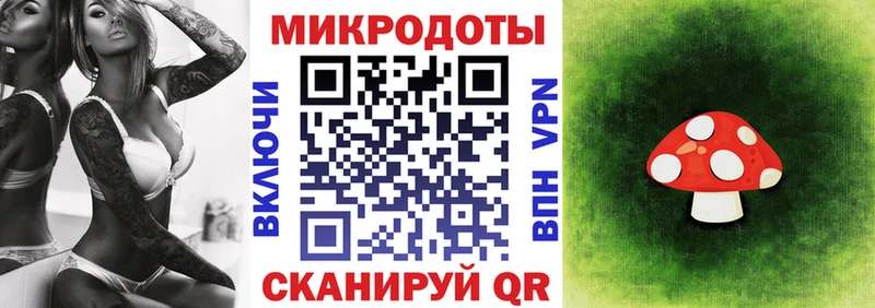Купить где  Кремёнки  Псилоцибиновые грибы GOLDEN TEACHER 